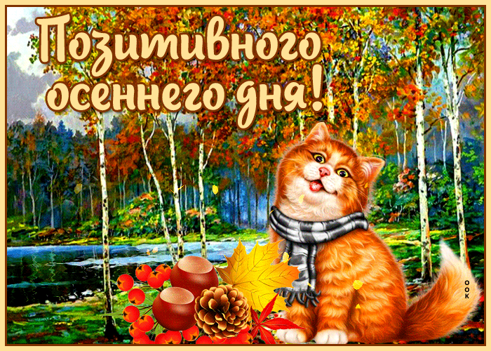 Postcard живая открытка с котиком позитивного осеннего дня