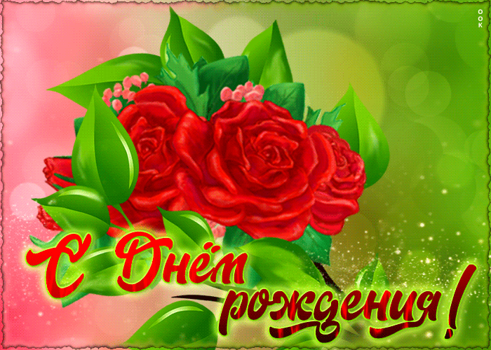 Picture живая открытка с красными розами с днем рождения!