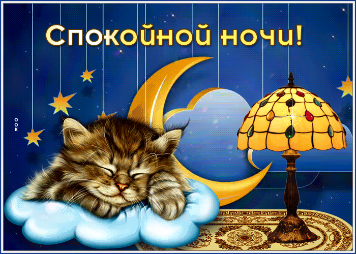 Postcard живая открытка с маленьким котиком спокойной ночи