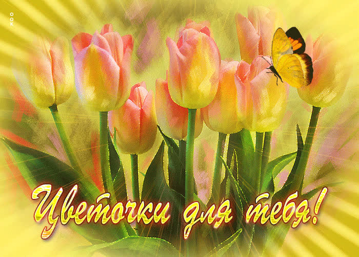 Picture живая открытка с тюльпанами цветочки для тебя!