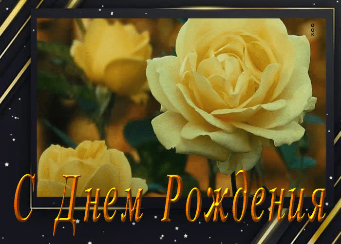 Postcard живая открытка с желтыми розами с днем рождения