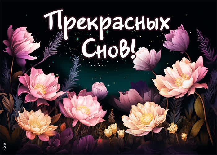 Picture живописная открытка с цветами прекрасных снов