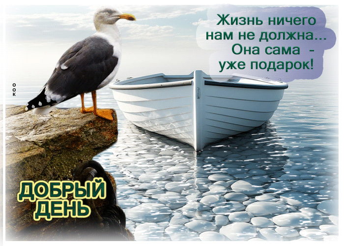 Postcard жизнь ничего нам не должна. она сама уже подарок