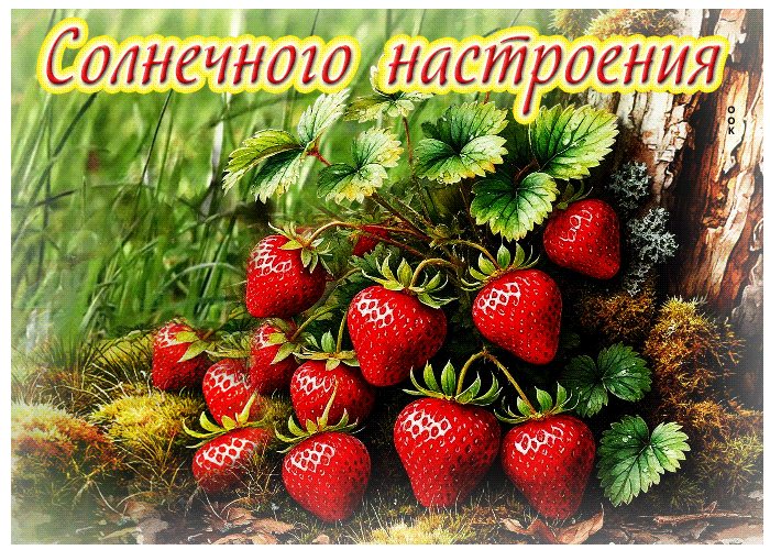 Postcard жизнерадостная тёплая летняя гиф-открытка солнечного настроения