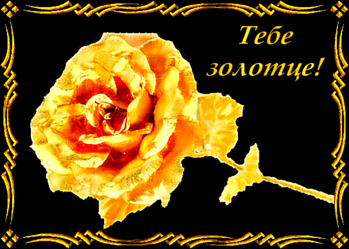 Картинка золотой цветок золотой подружке