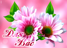 Picture анимационная открытка с розовыми цветочками для вас