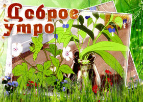 Открытка анимационная открытка доброе утро с цветочками
