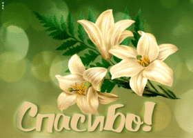 Picture анимированная открытка с цветочками спасибо!