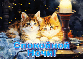 Postcard атмосферная открытка с котиками спокойной ночи