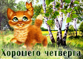 Picture бесподобная открытка с рыжим котиком хорошего четверга