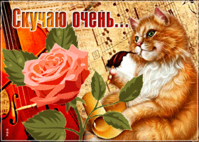 Picture блестящая открытка с рыжим  котом скучаю очень...