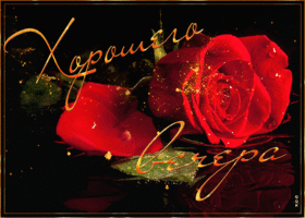 Picture блестящая открытка хорошего вечера! с розой
