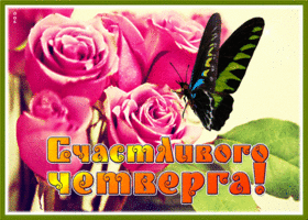Picture блистательная открытка счастливого четверга! с бабочкой