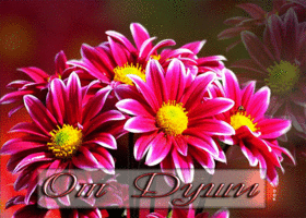 Picture чарующая открытка с цветочками от души