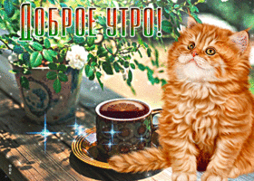 Открытка чудесная открытка доброе утро с котиком