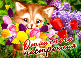 Открытка чудесная открытка отличного настроения с тюльпанами
