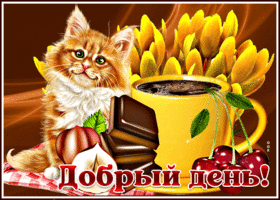 Postcard чудесная открытка с котиком и кофе добрый день