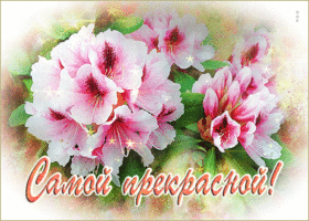 Postcard чудесная открытка с розовыми цветами самой прекрасной