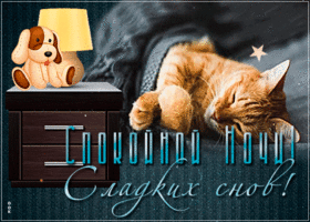 Открытка добрая открытка с котом спокойной ночи, сладких снов