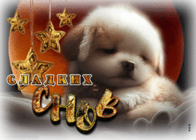 Picture добрая открытка с щеночком сладких снов