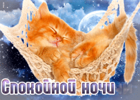 Картинка движущаяся открытка спокойной ночи с котёнком