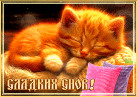 Postcard фантастическая открытка сладких снов! с котенком