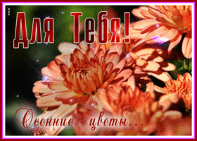 Picture гармоничная гиф-открытка для тебя осенние цветы