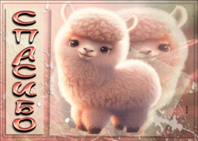 Postcard игривая открытка с ламой спасибо