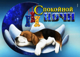 Picture интересная открытка с щенком спокойной ночи