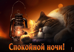 Picture изумительная гиф-открытка с котом спокойной ночи