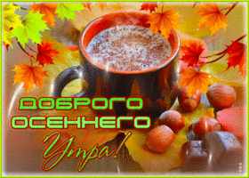 Picture изумительная открытка доброго осеннего утра! с чашкой кофе