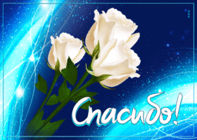 Picture изумительная открытка с белыми розами спасибо!