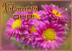 Picture изумительная открытка с красивыми цветами хорошего дня
