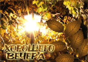 Picture изумительная открытка с листвой хорошего вечера