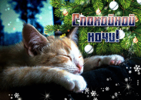 Picture изумительная открытка спокойной ночи! с котиком у елки