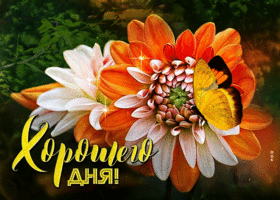 Postcard изящная открытка с бабочкой на цветке хорошего настроения