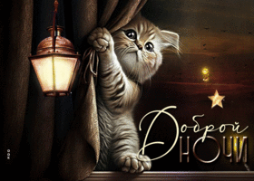 Postcard изысканная открытка с котенком доброй ночи