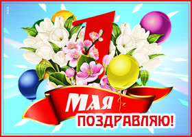 Открытка картинка с 1 мая с цветами