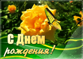 Открытка картинка с днем рождения женщине желтые розы