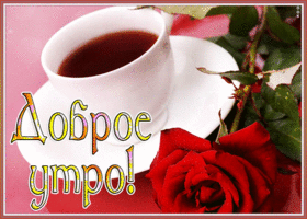 Открытка хорошая открытка доброе утро с розой