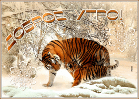 Картинка хорошая открытка доброе утро с тиграми
