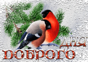 Открытка хорошая открытка доброго дня с птицами