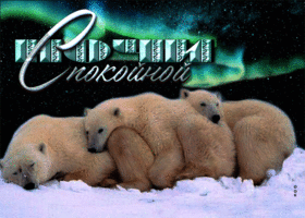 Картинка хорошая открытка спокойной ночи с полярными медведями