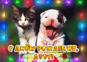 Postcard классная открытка с котиком и щенком с днем рождения!