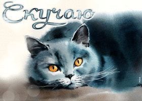 Картинка классная открытка с котиком скучаю