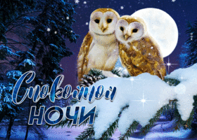 Картинка классная открытка спокойной ночи с совами