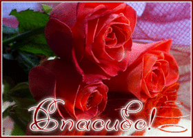 Postcard колоритная и яркая открытка с розами спасибо