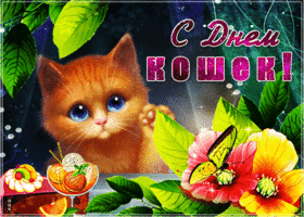 Открытка красивая открытка день кошек