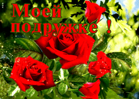 Открытка красивая открытка подруге с розами