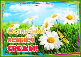 Postcard красивая открытка с бабочкой солнечной летней среды!